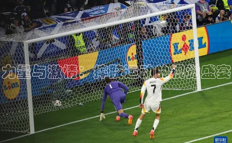 力量与激情：摔跤运动的视觉盛宴