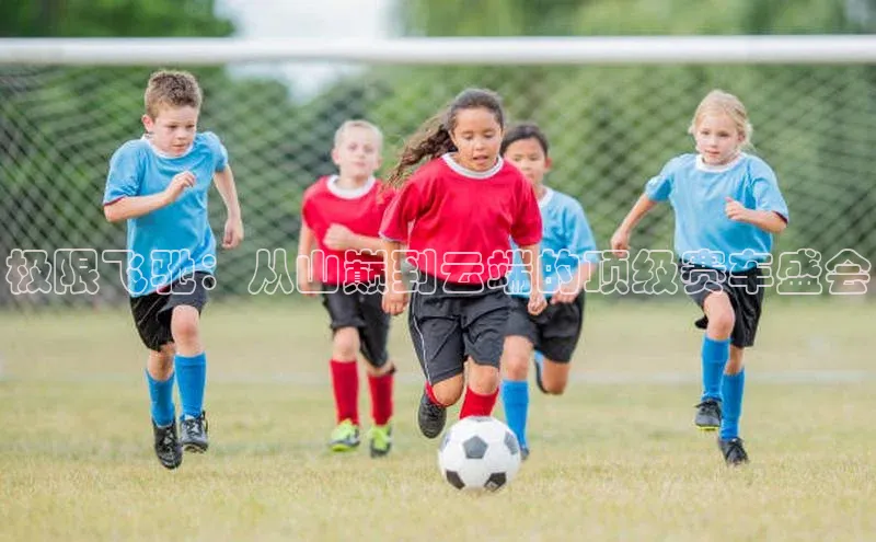 极限飞驰：从山巅到云端的顶级赛车盛会