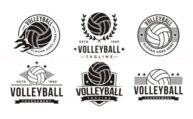 运动的旋律：班集体在运动会中的精彩篇章