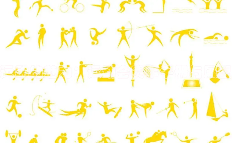 运动的魅力：运动会赛事手册与展望