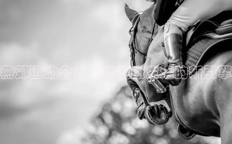 燕郊运动会：推动健康生活的新引擎