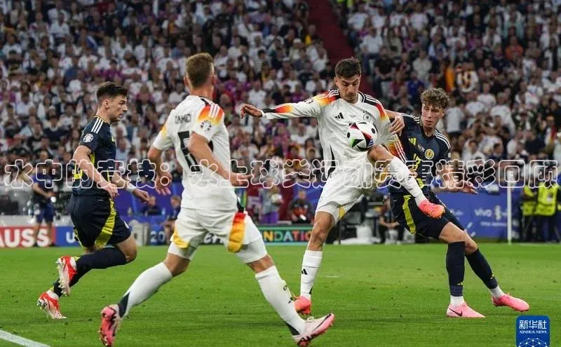 水中的竞技：水上球类运动赛事精彩回顾