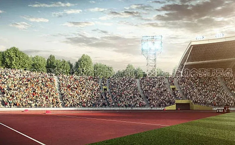 业主运动的盛宴：社区活力的新视角——业主运动会赛事亮点