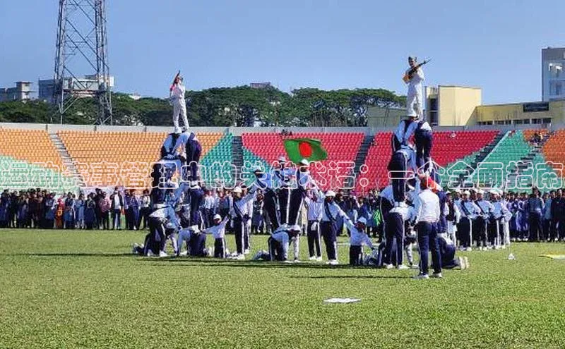 运动赛事管理中的关键术语：一个全面指南