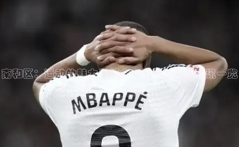 南和区：运动的魅力与活力——最新赛事资讯一览