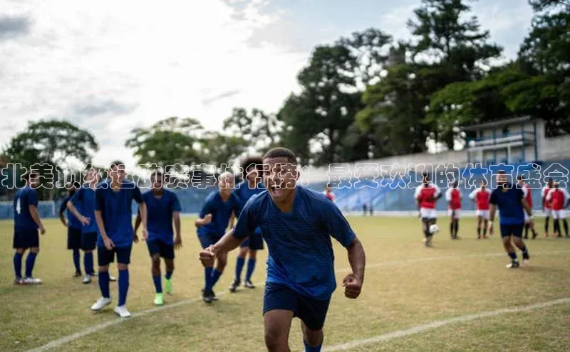 北美顶级运动赛事排行榜：最受欢迎的体育盛会