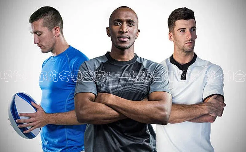 qy球友会app官网