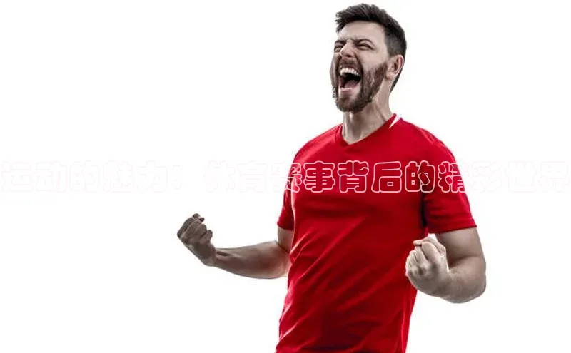 球友体育app下载官网